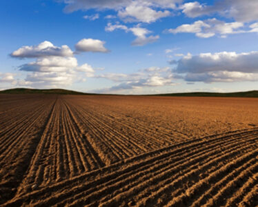 Woody Tasch: The State of the Soil Image